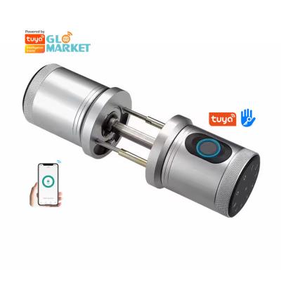 Κίνα Glomarket Νέο στυλ Tuya App Control Smart Lock Door Αποτύπωμα δακτύλου Password Σπίτι Ξενοδοχείο Διαμέρισμα Ηλεκτρονικό Smart Door Knob Lock προς πώληση