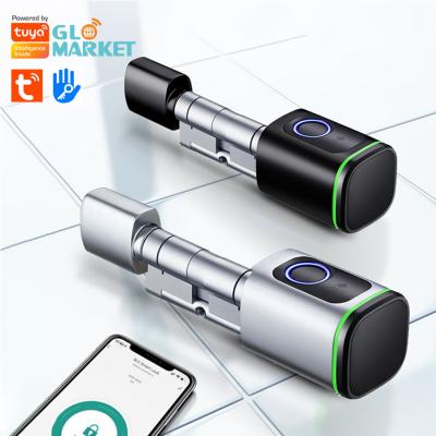 Cina Glomarket Home Smart Door Lock Ttlock Smart Fingerprint Card Key Unlock Regolabile Cilindro Euro Smart Lock Tuya App Door Lock in vendita