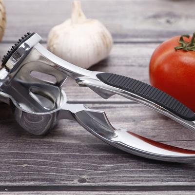 China Viable Home Manual Stainless Steel Mini Garlic Press Garlic Press Crusher Kitchen Tool Garlic Press for sale