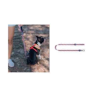 China Custom Adjustable Reversible Harness Set Dog Collar Leashes Handle Dog Leash Belt for sale