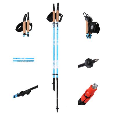 China Hot selling region 2020 AOQIDA pole cross country nordic walking pole outdoor sport two-piece alum 6061/carbon fiebr for sale