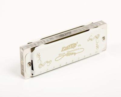 China Hot Sale EASTTOP 10 Professional ABS+Metal Holes Blues White Harmonica (T008L) for sale