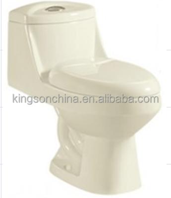 China ZY-2004 Double-Flux Africa EWC One Piece Toilet for sale