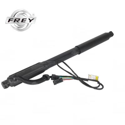 China For BMW E70 FREY Auto Parts The Shock Absorber Power Tailgate For BMW E70 Hot Selling OE 51247332695 for sale