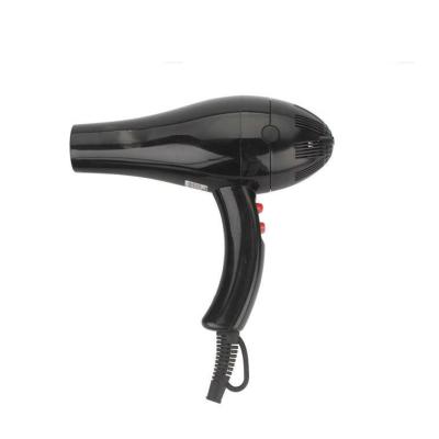 China Hair Dryer Salon Barber Blow Dryer Ionic Professional Hair Beauty Hair Care for sale