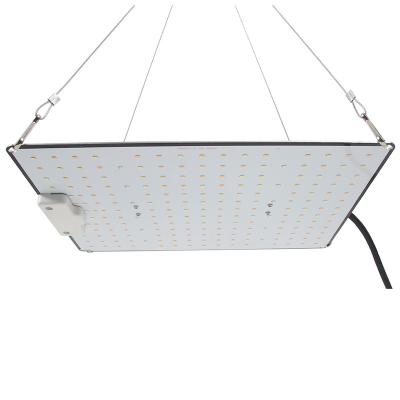 China Seed Starting Hydroponics Grow Planting Quantum Led Grow High Brightness Environmental Friendly Light Green Energy Long Lifespan To Grow Light 300W for sale