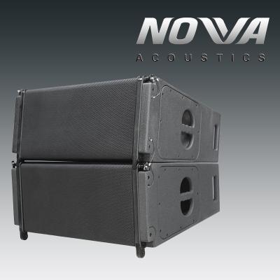 China 10 Inch 60Hz  1000W Line Array Speaker With 2x10