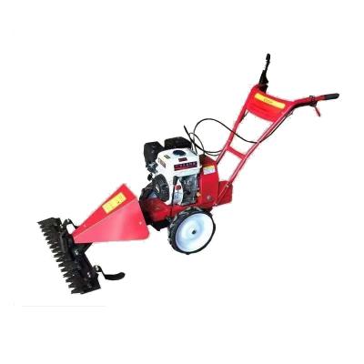 China 4-Stroke Top Supplier Garden Lawn Mower For Grass Cutting for sale