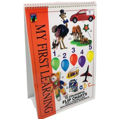 China Children Education First 100 Words For 16 Years English Advice Book Experience Printing Factory Reasonable Price Advice Book For Children for sale