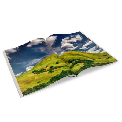 China Brochure Lead Time Factory Price Short Brochure Leaflet Magazine Booklet High Resolution Custom Printing Brochure for sale