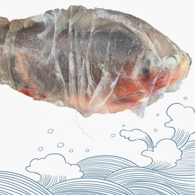 China COMPETITIVE PRICE CHINA RIBBLES Whole Round Pigtails PACU Goldfish Seafrozen IQF Organic CHINA FISH for sale