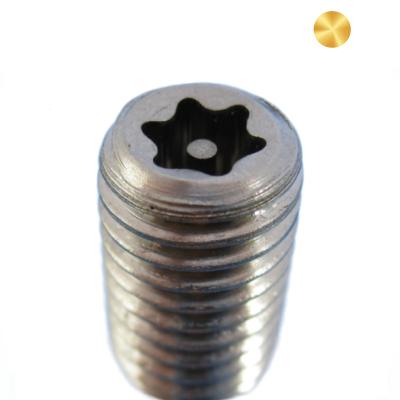 China Stainless Steel Flat Point 304 316 Flat Worm Torx Screw for sale