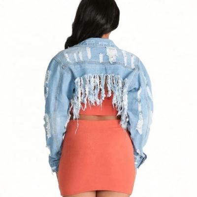 China 2020 spring breathable oversized denim jacket coated newcomers plus size blue jeans crop tassel ripped jeans for fat women for sale