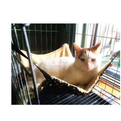 China Viable Cat Bed Pet Hammock Swing for sale