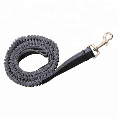 China Sustainable Innovative Custom LOGO Dog Training Leash for sale