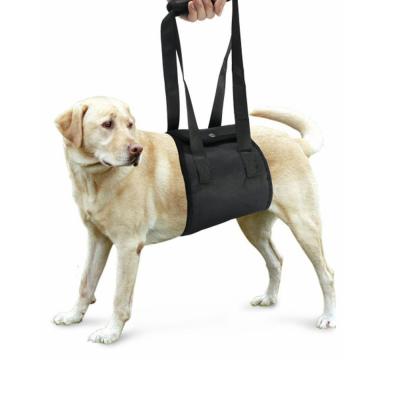 China Viable Adjustable Walker Full Body Support Dog Harness Set for sale