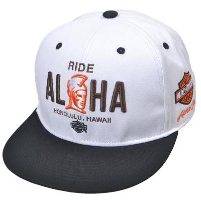 China COMMON High Quality Cotton Hat Baseball Cap Custom Snapback Hat for sale