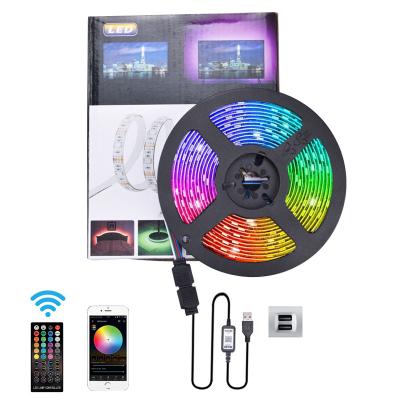 China Customizable LANDSCAPE RGB5050 LED Strip Ribbon LED Light Strips Waterproof Strip Lighting 12V Remote Control Smart Kit for sale