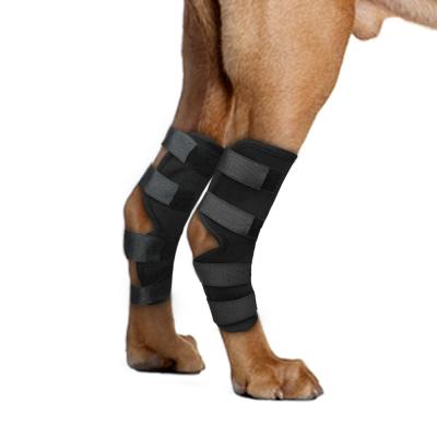 China Adjustable Pet Leg Knee Pad Dog Leg Support Dog Brace Black Viable Response Pad Adjustable Pet Leg Pad for sale