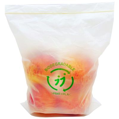 China Fruit Carry Bag With Customized Oem Logo Printing Design For Grocery BIODEGRADABLE Sustainable Store for sale