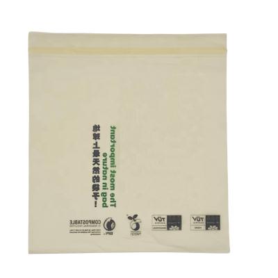 China Biolegeen Universal Custom Compostable Zipper Bag 100% Biodegradable Cornstarch Packaging Bags for sale