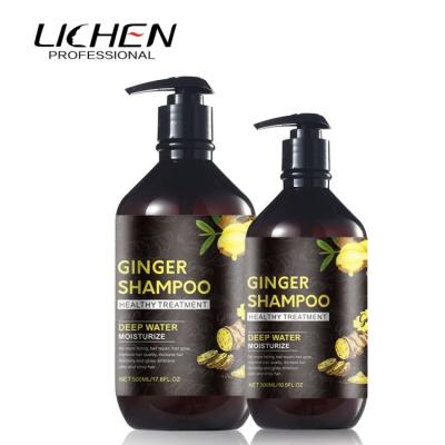 China Argan Oil No Paraben Anti Loss Prevention Private Label Hair Loss Dandruff Hair Shampoo And Conditioner For Brazilian for sale