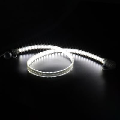 China Best Seller IP68 Waterproof Led Swimming Pool Lighting 12v Tape Light Flexible Dotless Dob Silicon Light Led Strip Cob L for sale