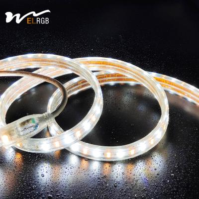 China Outdoor LED Light Strip 110V 220V Double Rows White and Warm White Dual Color with Dimmer Support zu verkaufen