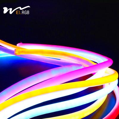 Cina 110V/220V IP66 Waterproof Smart LED Strip Light Flexible Neon 360-Degree Luminous in vendita