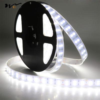 China Outdoor LED Light Strip with IP67 Waterproof and Adjustable White Color Temperature Te koop