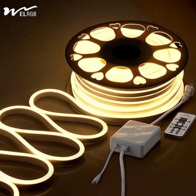 中国 カスタマイズ可能なパーティライト 110V-220V AC 120LED/Mの防水LEDネオンライト 販売のため