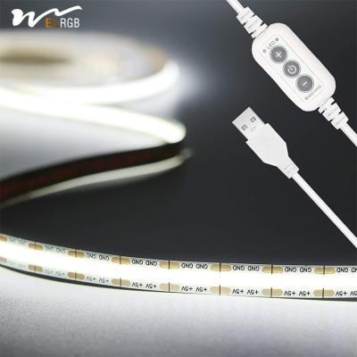 China Music Mode Flexible LED Light Strip for Home Decoration 6000K CCT 50000 Hours Lifespan en venta