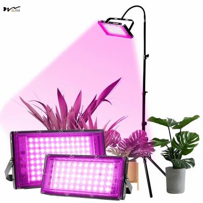 China Zaden Start 50W Full Spectrum Plant Lamp met Stand LED Standing Floor Grow Light Te koop