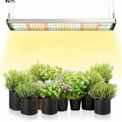 China Esencial para el crecimiento de las plantas de cocina Luz de planta de espectro completo mejorada con 5000K 3000K en venta