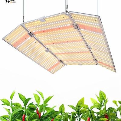 China LED Plant Growth Light 480W BU4800 voor Daisy Chain Dimmable Adjustable LEDs Grow Lights Te koop