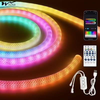 中国 9.8ft Neon Light with USB RGB Smart IC IP65 Waterproof 50LED/M App Controllable 販売のため