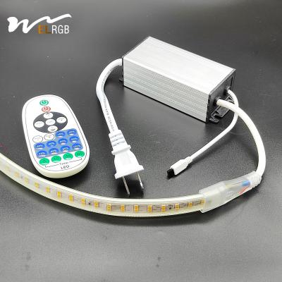 China 2024 Spanning LED lichtbalk Dimmer Bluetooth APP Afstandsbediening Monochrome LED lamp Neonlamp Controller met 2- Te koop