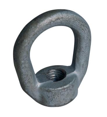 China Chinas Scaffolding Products G-400 Lifting Eye Nut USA Type froged carbon steel for sale