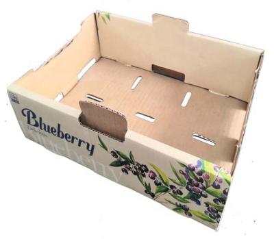 China Recycled Paper Cardboard Materials Fresh Fruit Corrugated Packaging Box for sale