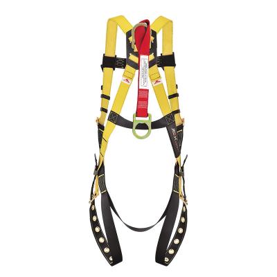 China 100% Polyester Double Climbing Lanyard 3-Point Seat Belt With Adjustable Waist for sale