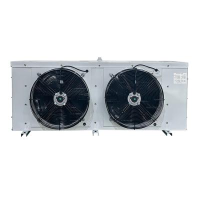 China Farms Dual Density Series Air Cooler Fan Type DD40 Industrial Evaporator Fan Motor For Cold Storage Room for sale