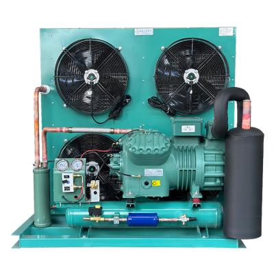 China food & Semi-Hermetic Beverage Factory Cooling Compressor Unit Bitzer Compressor Air Cooled Unit Refrigeration Cold Storage Condensing Room for sale