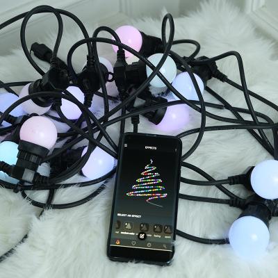 China WiFi Remote Control Bulb Led Strip Lights Smart App Controlled Festoon String Light for sale