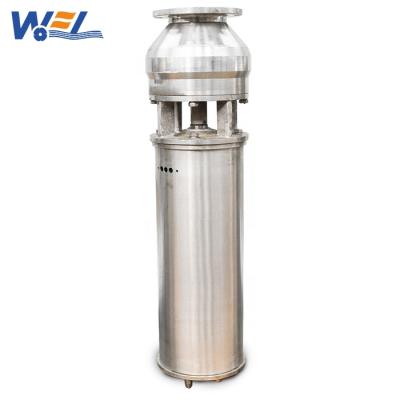 China Rewind Stainless Steel Submersible Fountain Pump For Landscape Fountain for sale