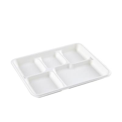 China Virgin Free Sample Unbleached 5 Compartment Rectangle Bagasse Pulp Tray for sale