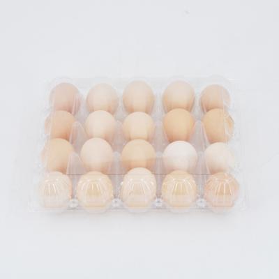 China 20 Hole Disposable Clear Rectangular Egg Clamshell Plastic Packaging for sale