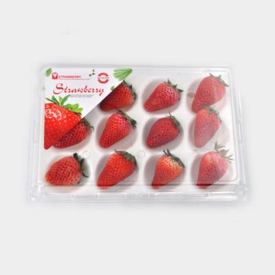 China Disposable Rectangle Blister 12 Strawberry Plastic Manufacturing Supply Frui Box for sale