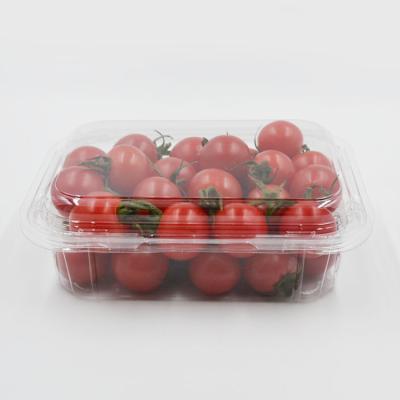 China Disposable clamshell blister plastic fruit packaging box for berry 500 gram for sale