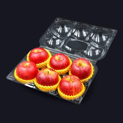 China Factory Directly Big 6pcs Apple Fruit Disposable Clear Plastic Packaging Box for sale