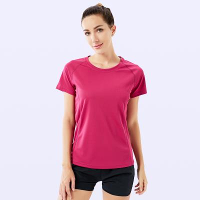 China Factory direct supply fashion black anti-pilling gym t shirts for women for sale